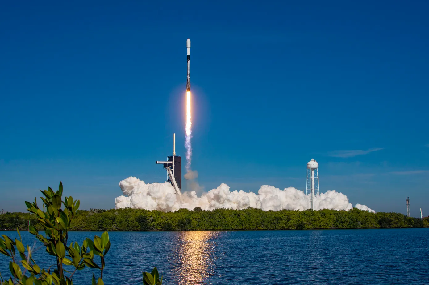 Former top SpaceX exec Tom Ochinero sets up new VC firm, filings reveal Aria Alamalhodaei TechCrunch