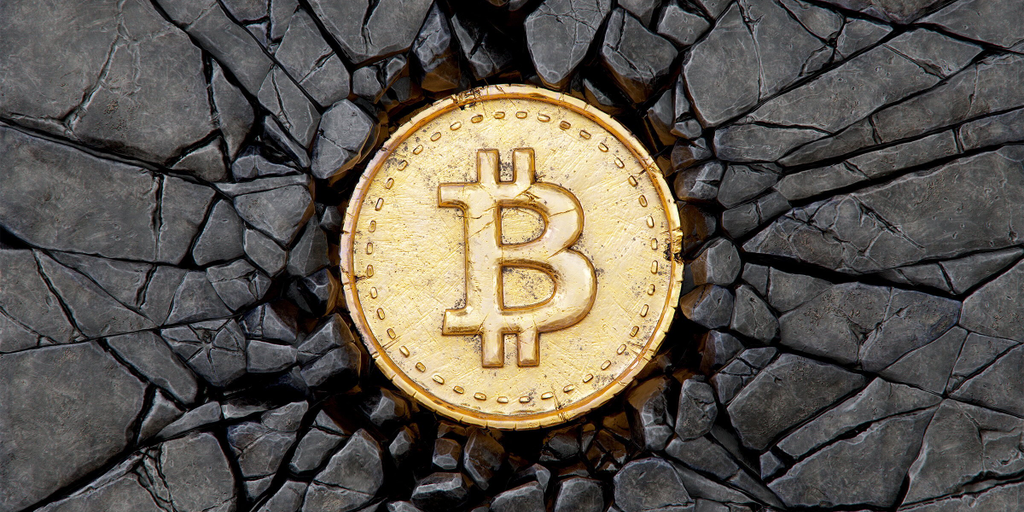 Bitcoin Barely Bobbles After Halving Ryan Kawailani Ozawa Decrypt