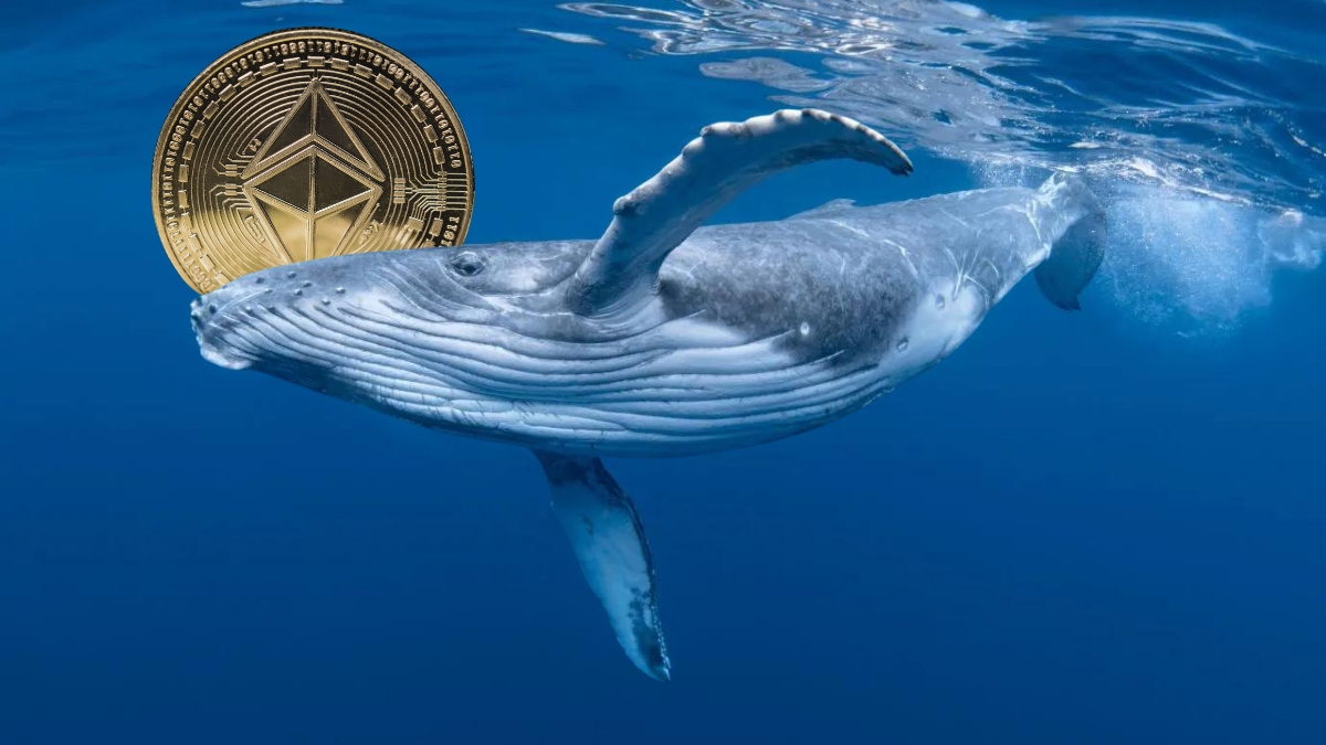 Whale adds $36 mln ETH at bottom, eyes on breakout Chandan Gupta Todayq News