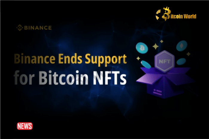 Binance Removes Bitcoin NFTs From Its Marketplace To Focus On Other Products Sofiya BitcoinWorld