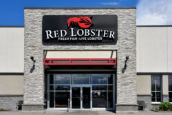 Unlimited Shrimp Promotion Sinks Red Lobster’s Liquidity Elizabeth Anderson LeapRate