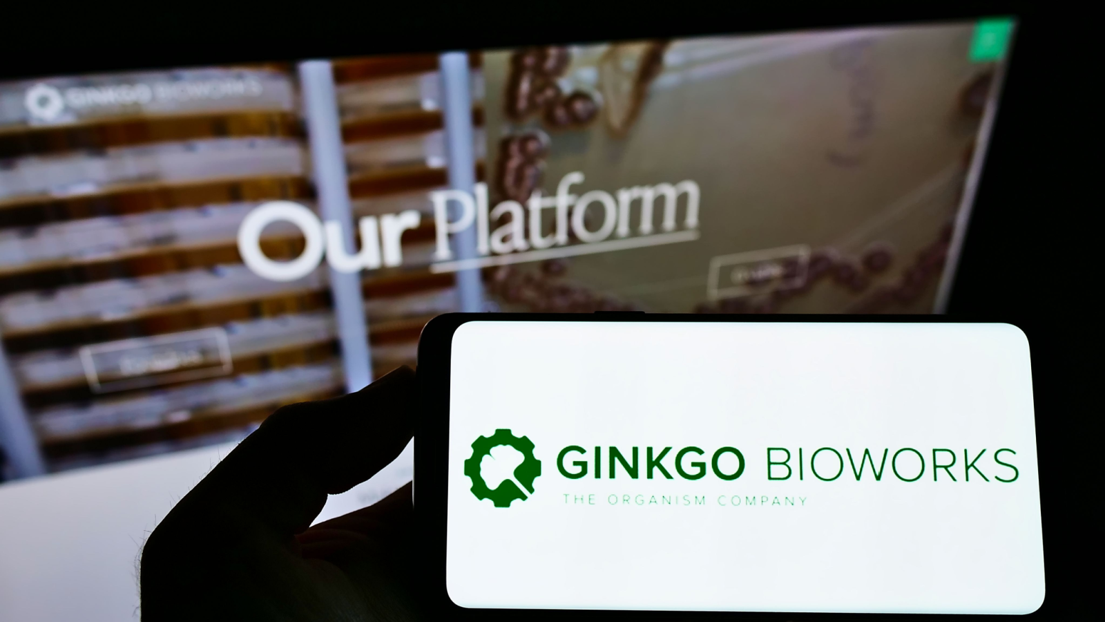 Ginkgo Bioworks Layoffs 2024: What to Know About the Latest DNA Job Cuts William White InvestorPlace| InvestorPlace