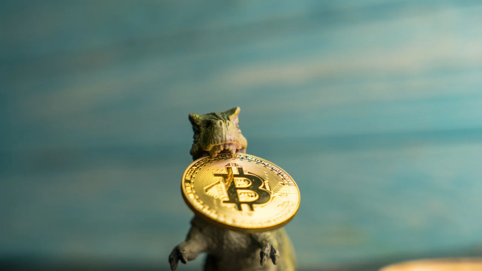 3 Cryptos You’ll Wish You Owned When Bitcoin Hits Its Next All-Time High Chris MacDonald InvestorPlace| InvestorPlace