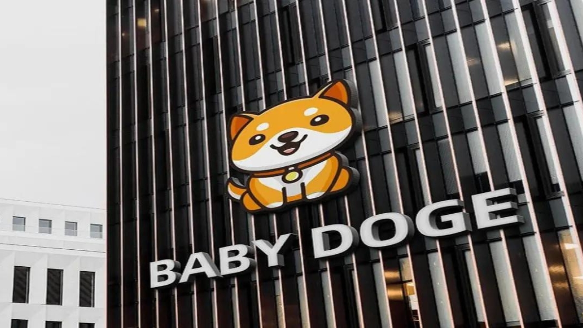 BabyDoge Surges 120% in 10 Days: Is More Growth Coming? Ishita Todayq News