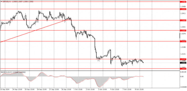 What to Pay Attention to on October 9? Analysis of Fundamental Events for Beginners  Forex analysis review