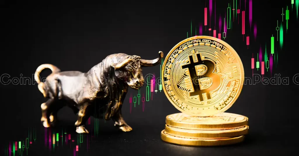 Why Crypto Market is Going Up? Qadir AK Coinpedia Fintech News