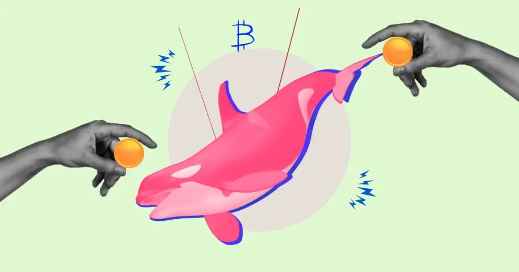 Whale Sells LDO at a $900K Loss After 3-Year Hold Sohrab Khawas Coinpedia Fintech News