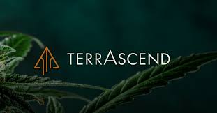 TerrAscend Enters Ohio with the Signing of Definitive Agreement to Acquire a Well Situated and Profitable Dispensary  GlobeNewswire – Mergers And Acquisitions