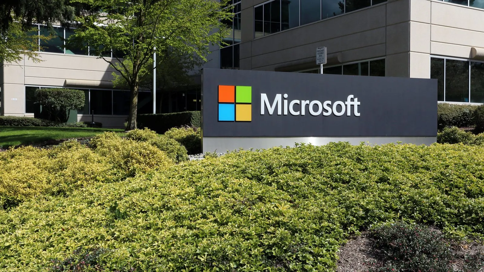 Less than 1% of Microsoft Shareholders Voted in Favor of Investing in Bitcoin Jason Nelson Decrypt